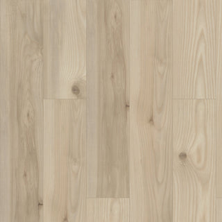 PARAGON HD+NATURAL BEVEL - Savona spc by Shaw Floors