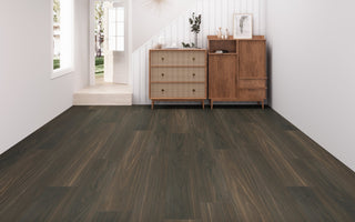 Parrot spc by Paradigm