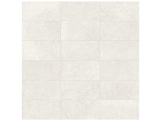 Pearl 12x24 Tile & Stone by Anatolia Tile