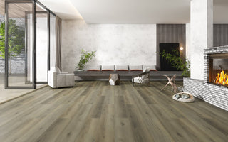 Pelican spc by Paradigm
