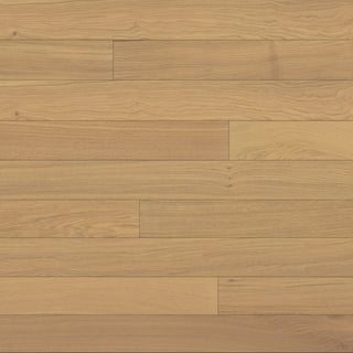 Peninsula Engineered Hardwood by Bedrosians