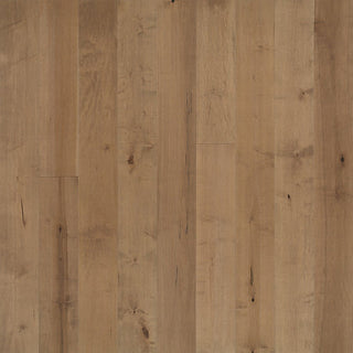 Pennsylvania Maple Engineered Hardwood by Hallmark Floors