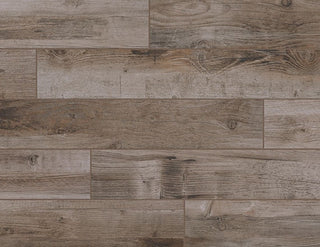 Petrified Forest Plank Tile & Stone by American Olean