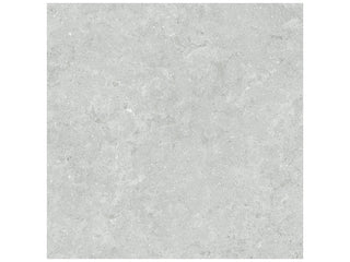 Platinum 20x20 Tile & Stone by Anatolia Tile