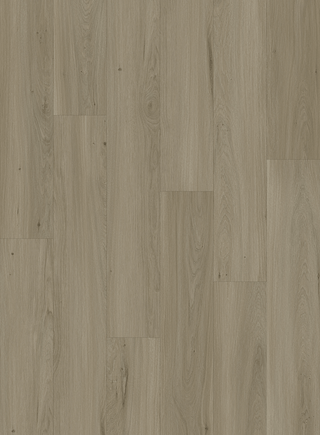 Poole Vinyl by Harbinger Flooring