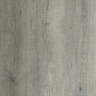 Portrait Gray Vinyl by Parkay Floors