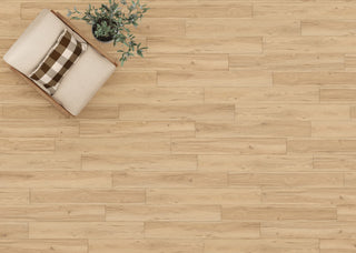 Preservation - Fossil spc by Mannington