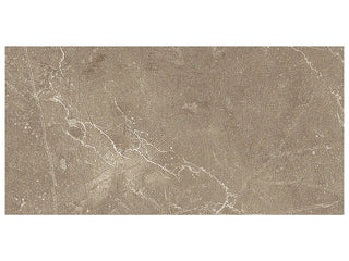 Pulpis Moca 3x6 Tile & Stone by Anatolia Tile