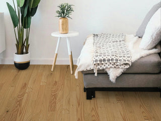 RED OAK NATURAL 2 - 1/4 IN. Hardwood by Reward Flooring