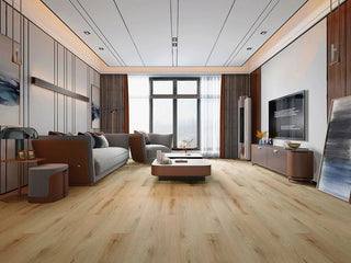Restoration - 290 spc by Stanton