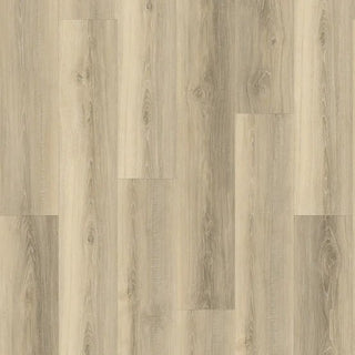 Restoration - 707 spc by Stanton