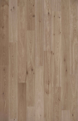 Rhine Engineered Hardwood by HF Design LLC