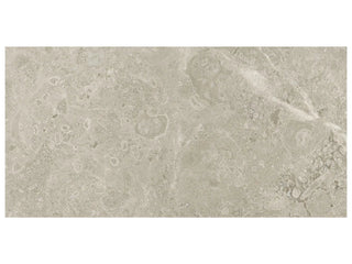 Ritz Gray 12x24 Tile & Stone by Anatolia Tile