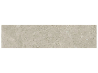 Ritz Gray 3x12 Tile & Stone by Anatolia Tile