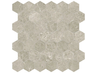 Ritz Gray Hexagon 2" Tile & Stone by Anatolia Tile