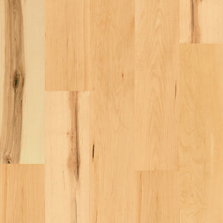 Roman Maple Engineered Hardwood by Eagle Creek Floors