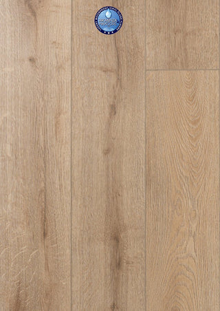 Royal Crest spc by Provenza