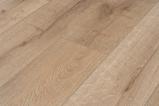 Royal Crest spc by Provenza