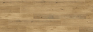 Sahara Pental spc by Republic