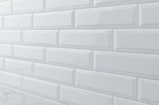 SALT GLOSSY Tile & Stone by Anthology Tile