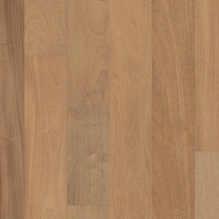 Samba Engineered Hardwood by Anderson Tuftex