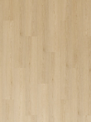 San Diego Laminate by Euro Oak Floor