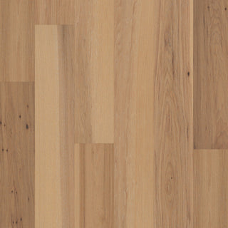 SANCTUARY HICKORY - Mindful Engineered Hardwood by Shaw Floors