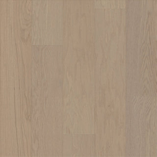 SANCTUARY OAK - Haven Engineered Hardwood by Shaw Floors
