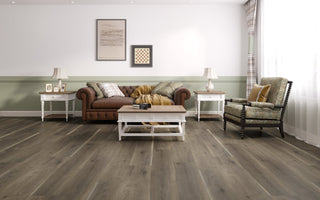 Sandpiper spc by Paradigm