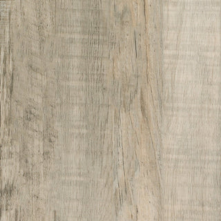 Santa Monica Shores Timber Max Vinyl by Parkay Floors