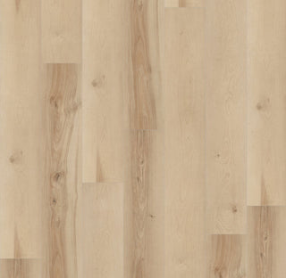 Sara Birch Vinyl by TAS Flooring
