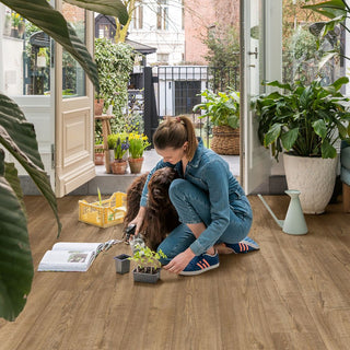 Scraped oak grey brown Waterproof Laminate by Quickstep