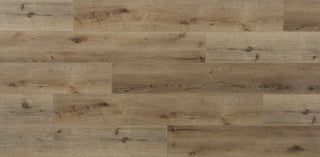Sessile Oak spc by Republic
