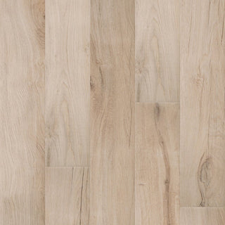 Shackleton Vinyl by TAS Flooring