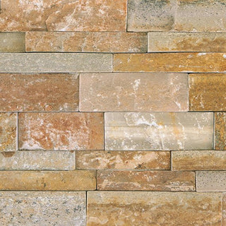 Shanghai Rust Stacked Tile & Stone by American Olean