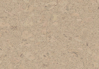 Shell Champagne Tile & Stone by Amorim Wise