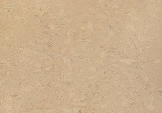 Shell Marfim Tile & Stone by Amorim Wise