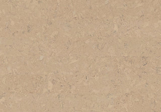 Shell Marfim Tile & Stone by Amorim Wise