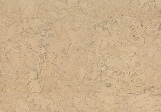 Shell Marfim Tile & Stone by Amorim Wise