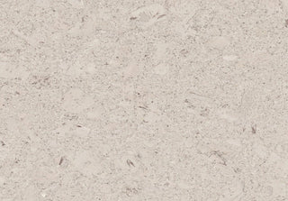 Shell Moonlight Tile & Stone by Amorim Wise