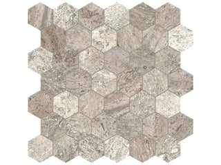Silver Ash Hexagon 2" Tile & Stone by Anatolia Tile