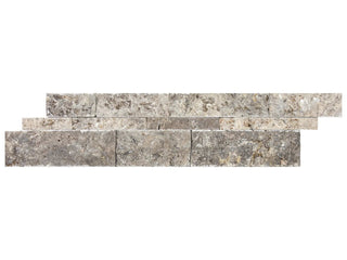 Silver Ash Travertine Tile & Stone by Anatolia Tile
