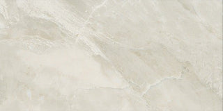 Silver Marble Rectangle Tile & Stone by American Olean