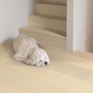 Snow white oak extra matt Engineered Hardwood by Quickstep