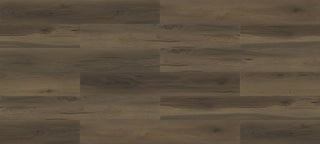 Sparrow spc by Paradigm