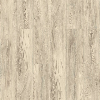 Specials in Floornation - Glory Vinyl by Raskin Industries