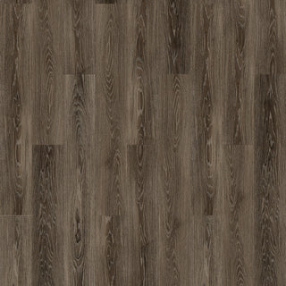 Specials in Floornation Pride - Lake Wood Vinyl by Raskin Industries