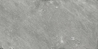 Spring Grey Rectangle Tile & Stone by American Olean