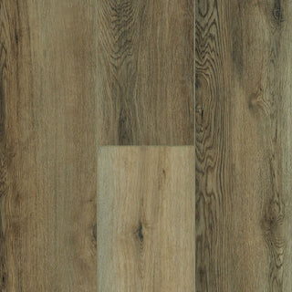 Spring Sapling 8.9" Vinyl by Bruce