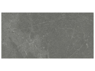 Stark Carbon 12x24 Tile & Stone by Anatolia Tile